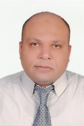 Professor Dr. Sherif Farouk Mohamed